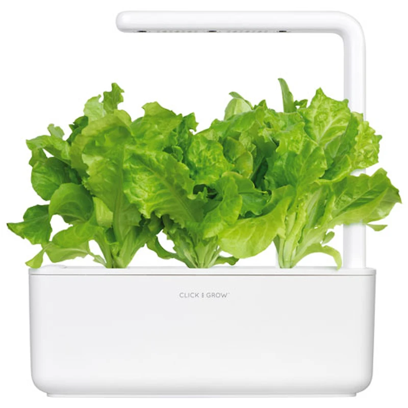 Jardin intérieur intelligent/capsule de basilic de Click & Grow (SGS1US) - Paquet de 3 - Blanc