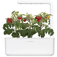Jardin intérieur intelligent/capsule de basilic de Click & Grow (SGS1US) - Paquet de 3 - Blanc