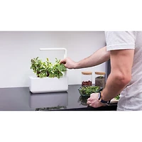 Jardin intérieur intelligent/capsule de basilic de Click & Grow (SGS1US) - Paquet de 3 - Blanc