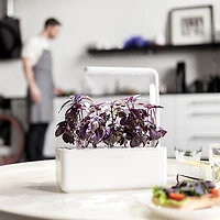 Jardin intérieur intelligent/capsule de basilic de Click & Grow (SGS1US) - Paquet de 3 - Blanc