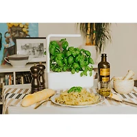 Jardin intérieur intelligent/capsule de basilic de Click & Grow (SGS1US) - Paquet de 3 - Blanc