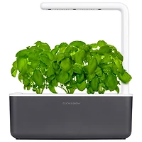 Click and Grow Smart Indoor Garden (SGS8US) - with Basil Seed Capsule Refill - 3 Pack - Dark Grey
