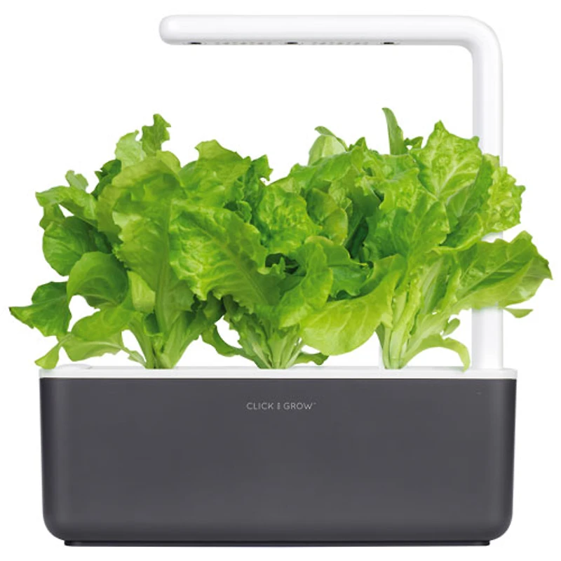 Click and Grow Smart Indoor Garden (SGS8US) - with Basil Seed Capsule Refill - 3 Pack - Dark Grey