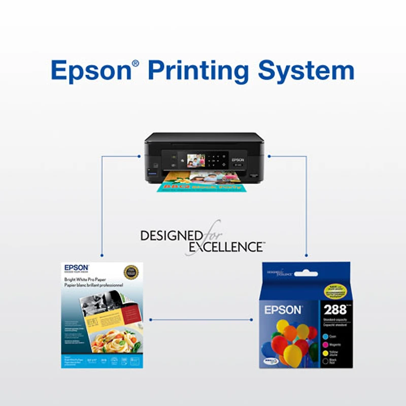 Epson DURABrite Colour Ink (T288120-BCS) - 4 Pack