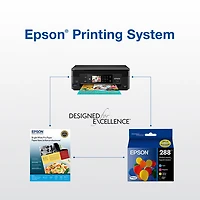 Epson DURABrite Colour Ink (T288120-BCS) - 4 Pack