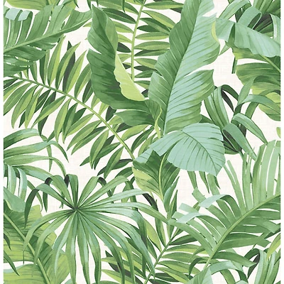 Papier peint Solstice Alfresco Palm Leaf d'A-Street Prints - Vert