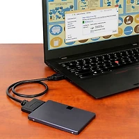 Adaptateur de disque dur USB 3.1 à SATA 2,5 po de StarTech (USB312SAT3CB)