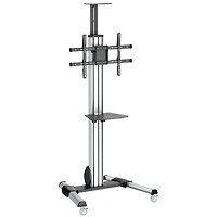 Chariot standard pour téléviseur de StarTech (STNDMTV70) - Noir/Argenté