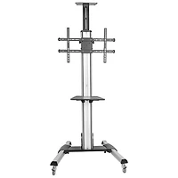 Chariot standard pour téléviseur de StarTech (STNDMTV70) - Noir/Argenté
