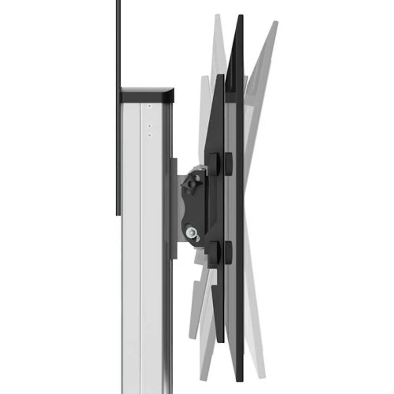 Chariot standard pour téléviseur de StarTech (STNDMTV70) - Noir/Argenté