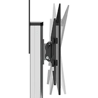 Chariot standard pour téléviseur de StarTech (STNDMTV70) - Noir/Argenté