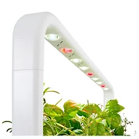 Jardin d'intérieur intelligent Smart Garden 9 de Click & Grow (SG9S1US) - Blanc