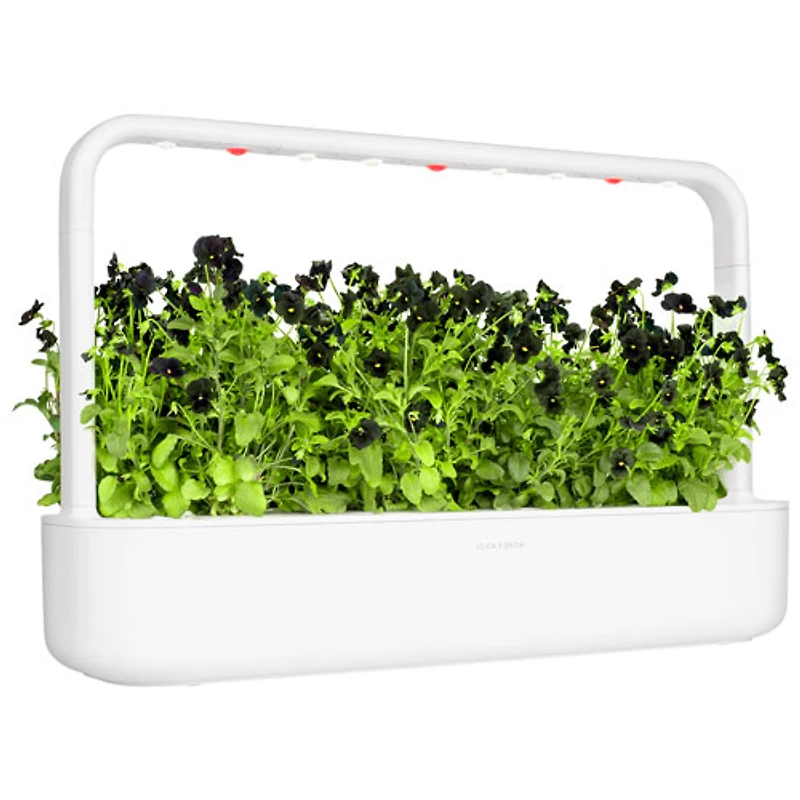 Jardin d'intérieur intelligent Smart Garden 9 de Click & Grow (SG9S1US) - Blanc