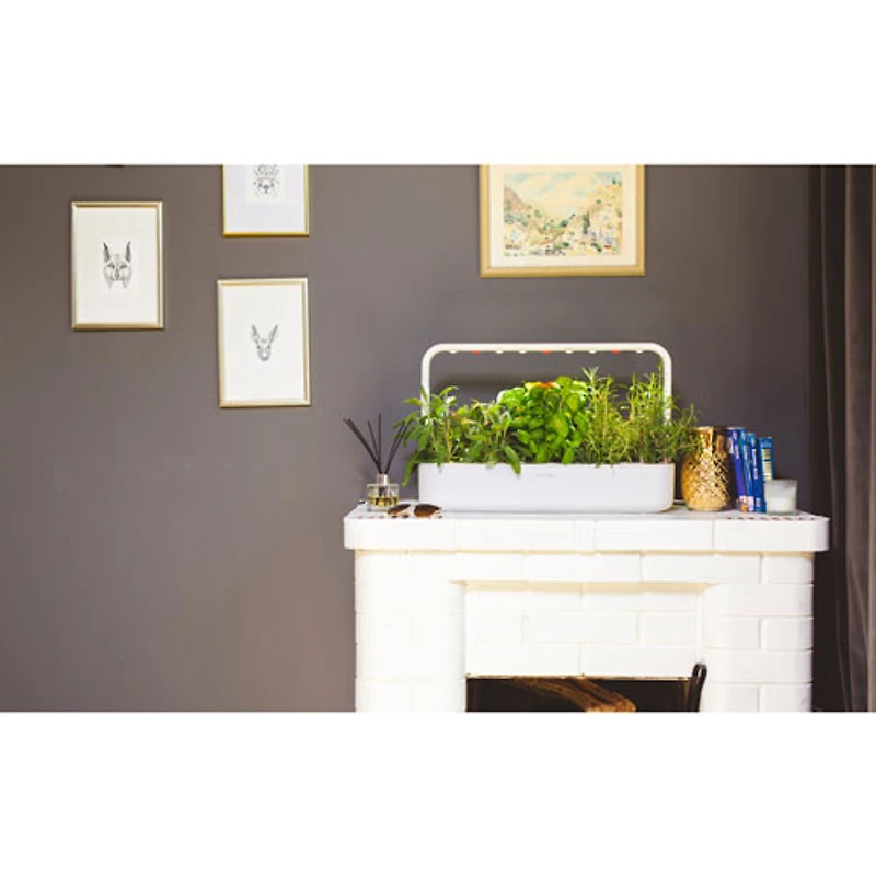 Jardin d'intérieur intelligent Smart Garden 9 de Click & Grow (SG9S1US) - Blanc