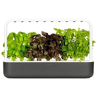 Jardin d'intérieur intelligent Smart Garden 9 de Click & Grow (SG9S8US) - Gris