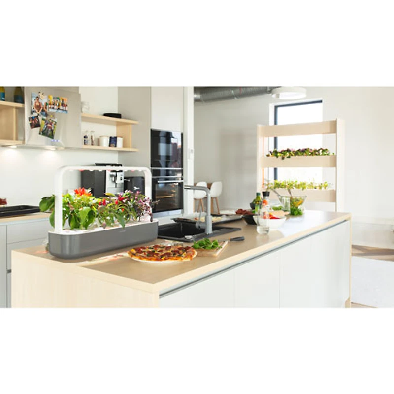 Jardin d'intérieur intelligent Smart Garden 9 de Click & Grow (SG9S8US) - Gris