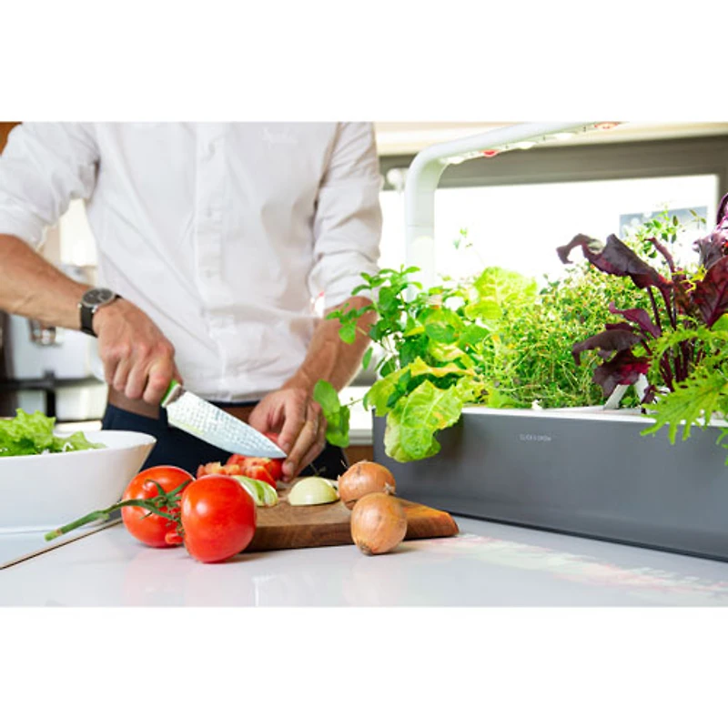 Jardin d'intérieur intelligent Smart Garden 9 de Click & Grow (SG9S8US) - Gris