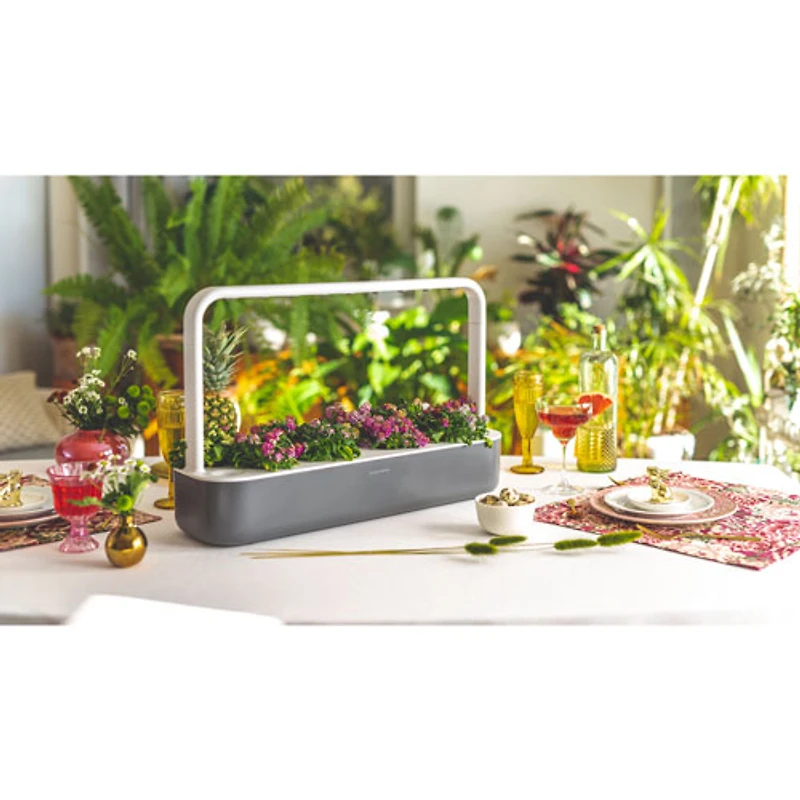 Jardin d'intérieur intelligent Smart Garden 9 de Click & Grow (SG9S8US) - Gris