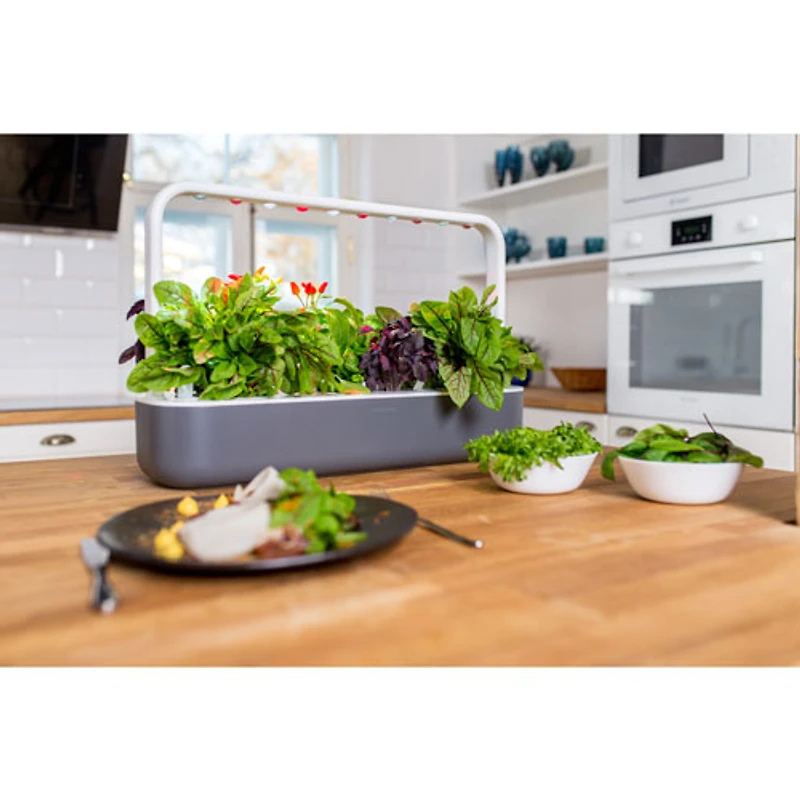 Jardin d'intérieur intelligent Smart Garden 9 de Click & Grow (SG9S8US) - Gris