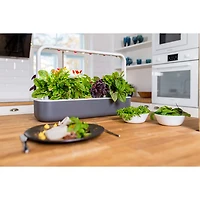 Jardin d'intérieur intelligent Smart Garden 9 de Click & Grow (SG9S8US) - Gris