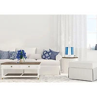PureGuardian H5225WCA 100-Hour Warm & Cool Mist Humidifier