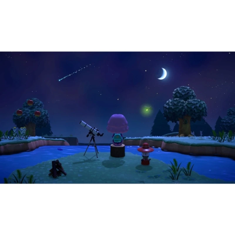 Animal Crossing: New Horizons (Switch)