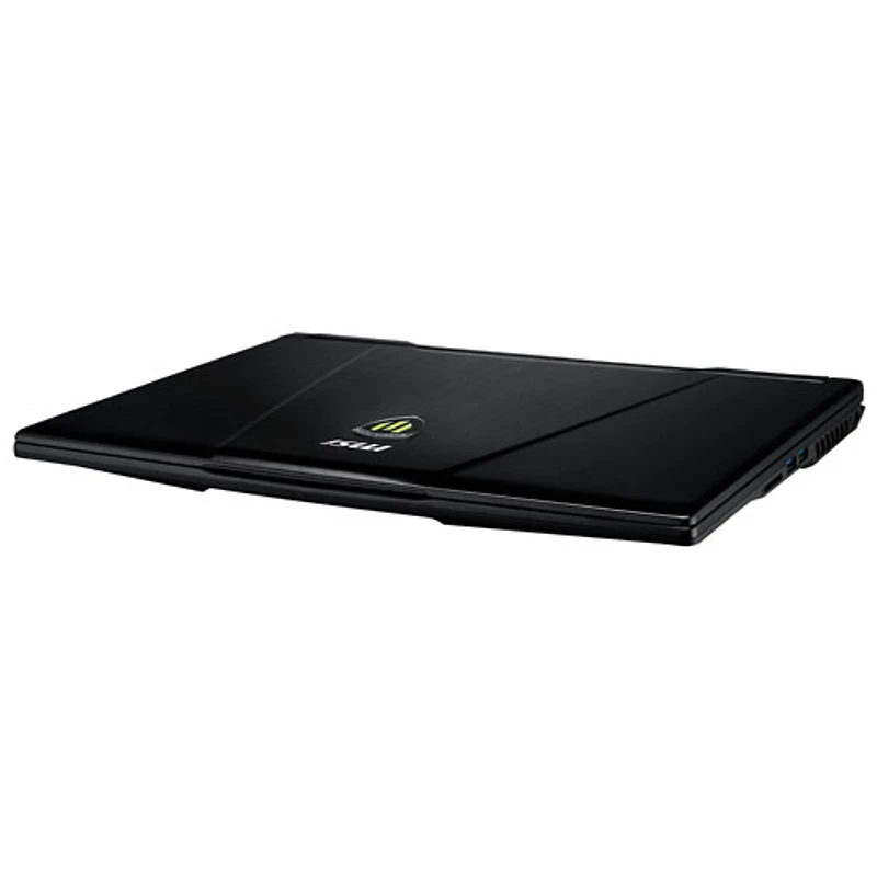 Portable de 15,6 po WE63 de MSI - Aluminium noir (Core i7-8750H d'Intel/DD 1 To/RAM 8 Go/Windows 10)
