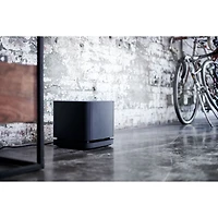 Module de haut-parleur d'extrêmes graves 500 de Bose - Noir Bose