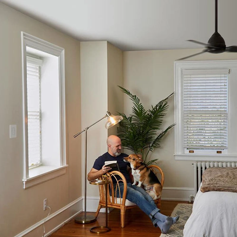 Interrupteur de ventilateur de plafond intelligent Caseta de Lutron