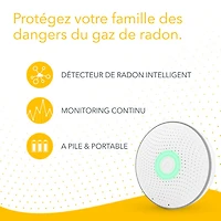 Airthings Wave 2 Wireless Radon Gas Detector