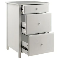 Bureau d'ordinateur Delta avec classeur et table pour imprimante