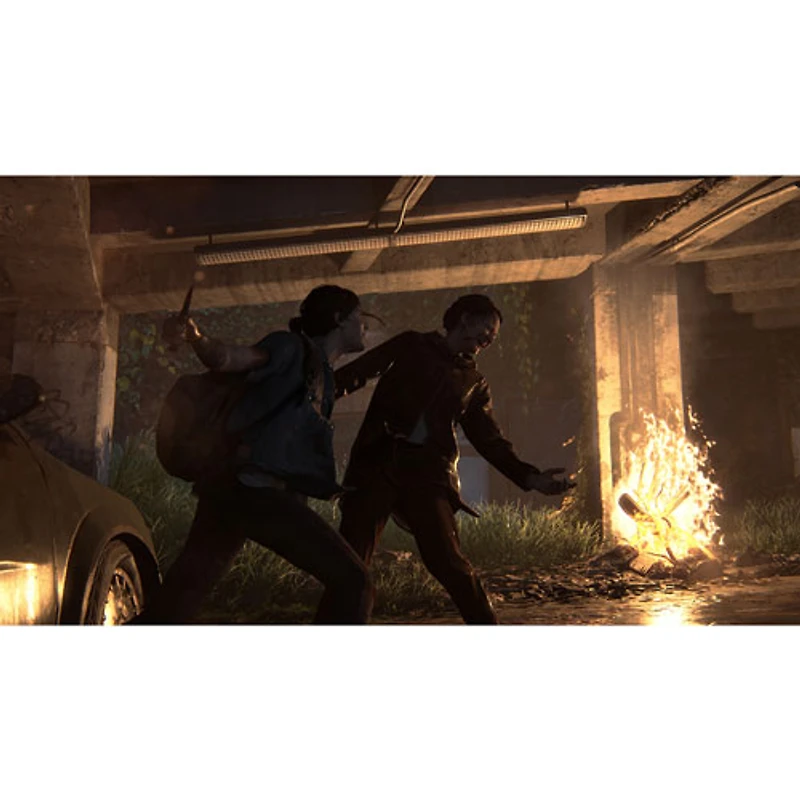 The Last of Us Part II (PS4)
