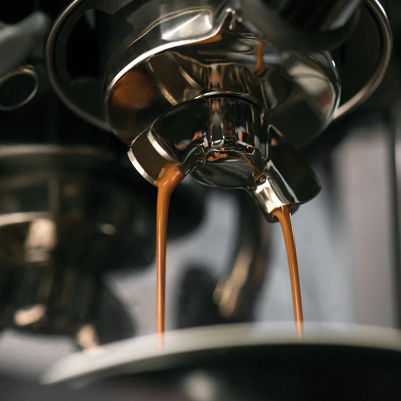 Machine expresso automatique Barista Touch moussoir à lait et moulin à café Breville - Truffe noire