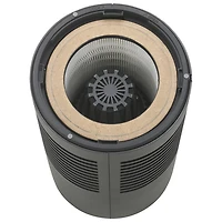 Purificateur d'air de table AC4700BDLX de GermGuardian avec filtre HEPA - Noir