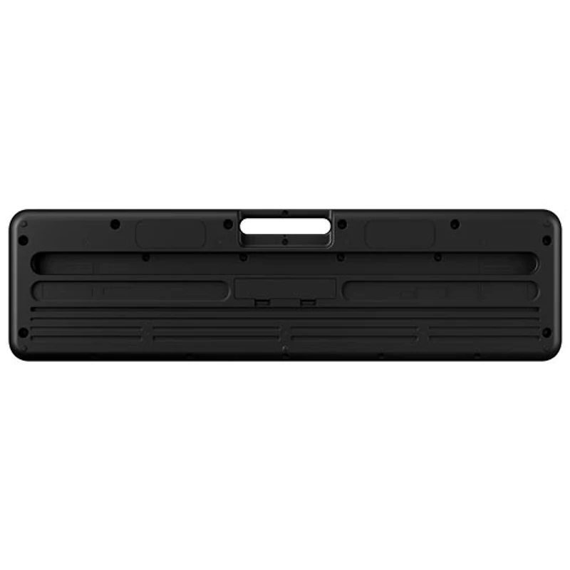 Casio LK-S250 61-Key Electric Keyboard - Black