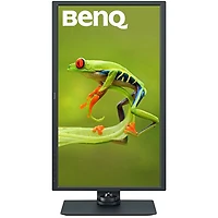 BenQ 32" 4K Ultra HD 60Hz 5ms GTG IPS LCD Monitor (SW321C) - Black