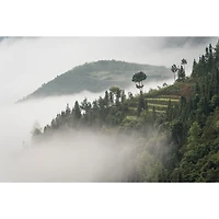 Sony E-Mount Full-Frame FE 70-200mm f/2.8 OSS Premium G Master Telephoto Zoom Lens