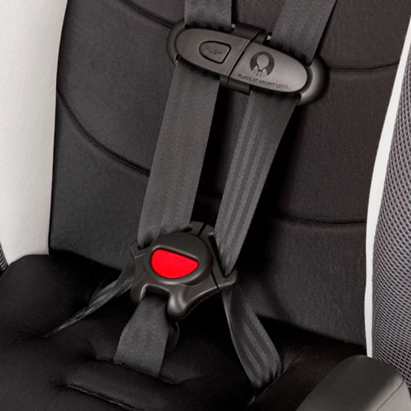 Evenflo Chase Plus 2-in-1 Convertible Booster Car Seat - Huron
