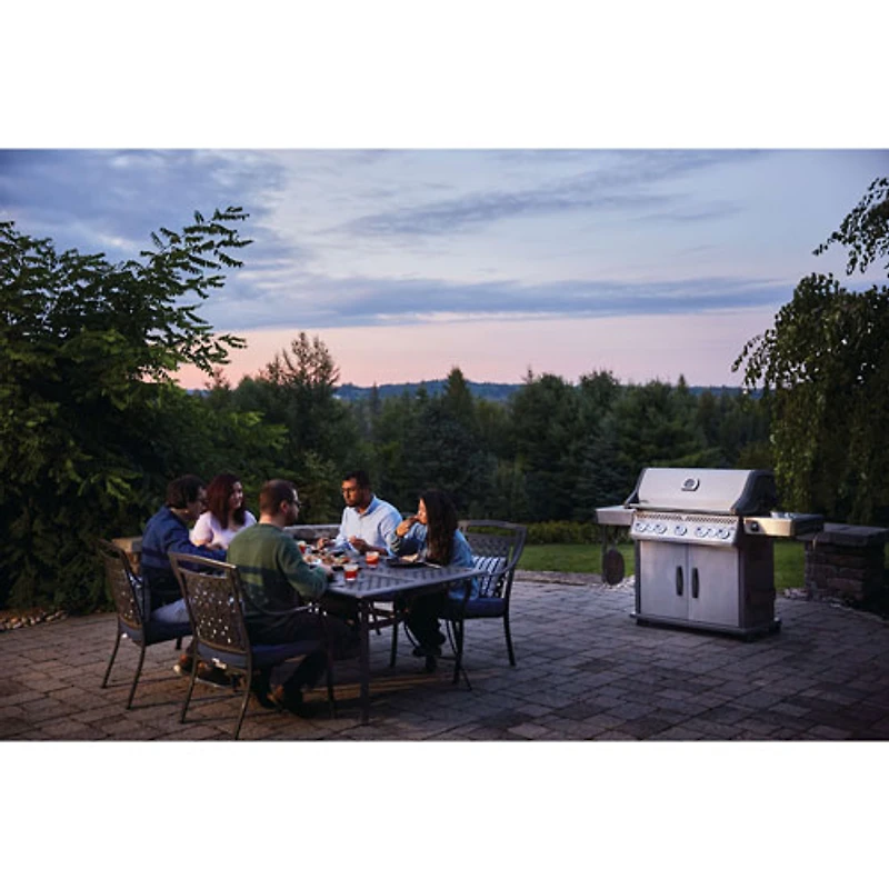 Napoleon Rogue SE 625 88500 BTU Propane BBQ