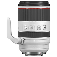 Objectif RF 70-200 mm f/2,8L IS USM de Canon - Noir
