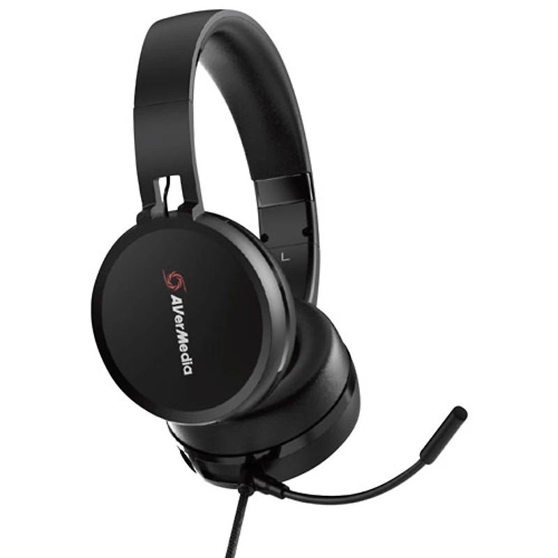 Caméra Web HD 1080p Live Streamer CAM 313 et ensemble de conférence à oreillette d'AVerMedia (PW317)