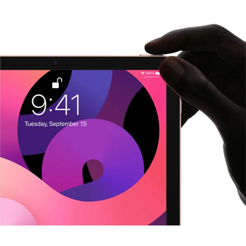 iPad Air 10,9 po 256 Go avec Wi-Fi d'Apple (4e génération) - Gris cosmique