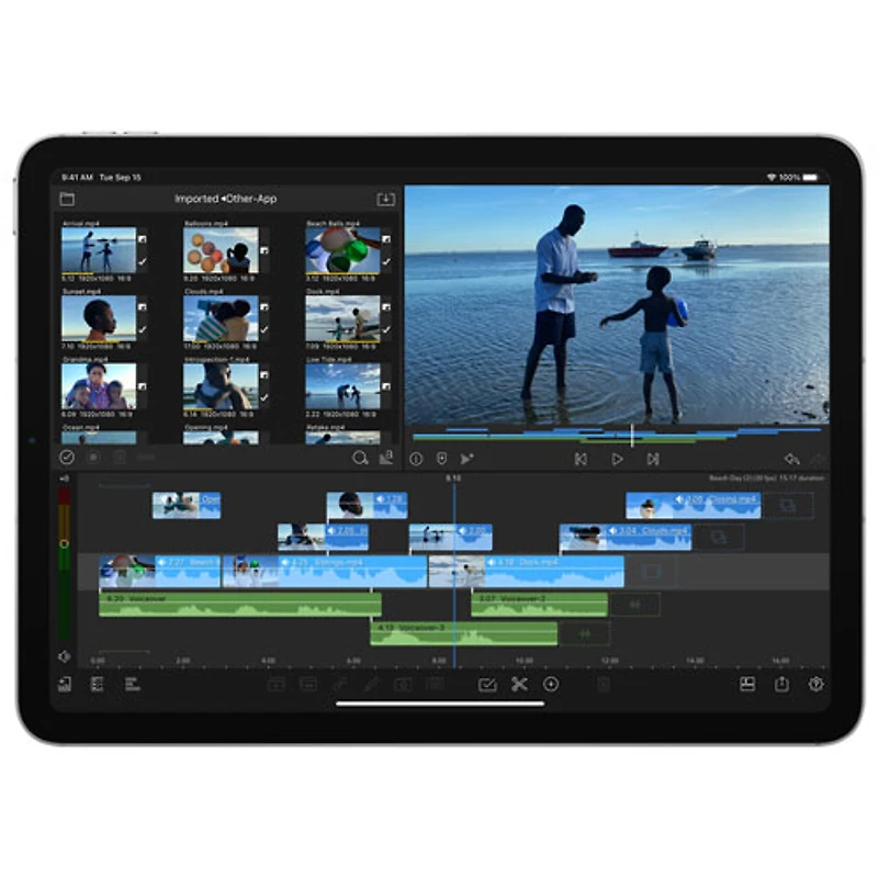 iPad Air 10,9 po 256 Go avec Wi-Fi d'Apple (4e génération) - Gris cosmique