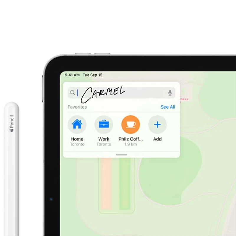 iPad Air 10,9 po 256 Go avec Wi-Fi d'Apple (4e génération) - Gris cosmique