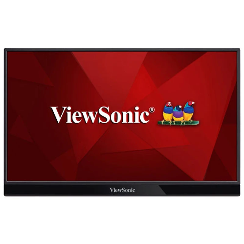 Moniteur DEL IPS HD intégrale 60 Hz GàG 6,5 ms de 15,6 po de ViewSonic (VG1655) - Argenté