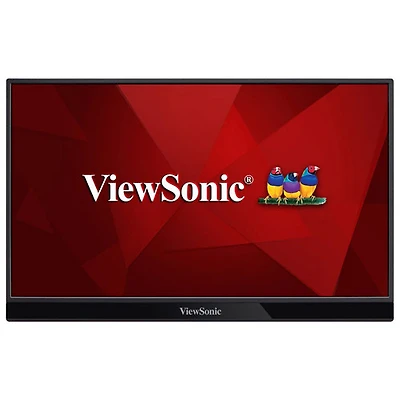Moniteur DEL IPS HD intégrale 60 Hz GàG 6,5 ms de 15,6 po de ViewSonic (VG1655) - Argenté