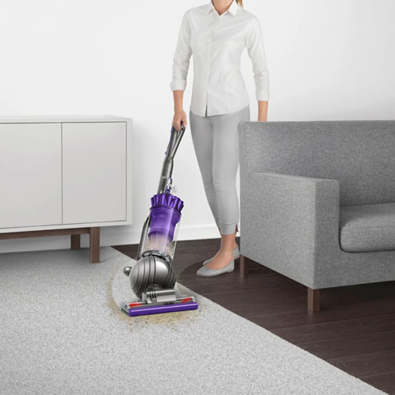 Dyson Ball Animal 2 Pro Upright Bagless Vacuum - Purple/Iron