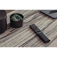 Samsung 55" 4K UHD HDR Mini-LED Tizen OS Smart TV (QN55QN90AAFXZC) - 2021 - Titan Black