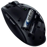 Souris de jeu optique sans fil de 18 000 ppp Orochi V2 de Razer