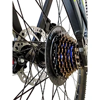 GoTyger 66 cm 24 Speed Mountain Bike - Black